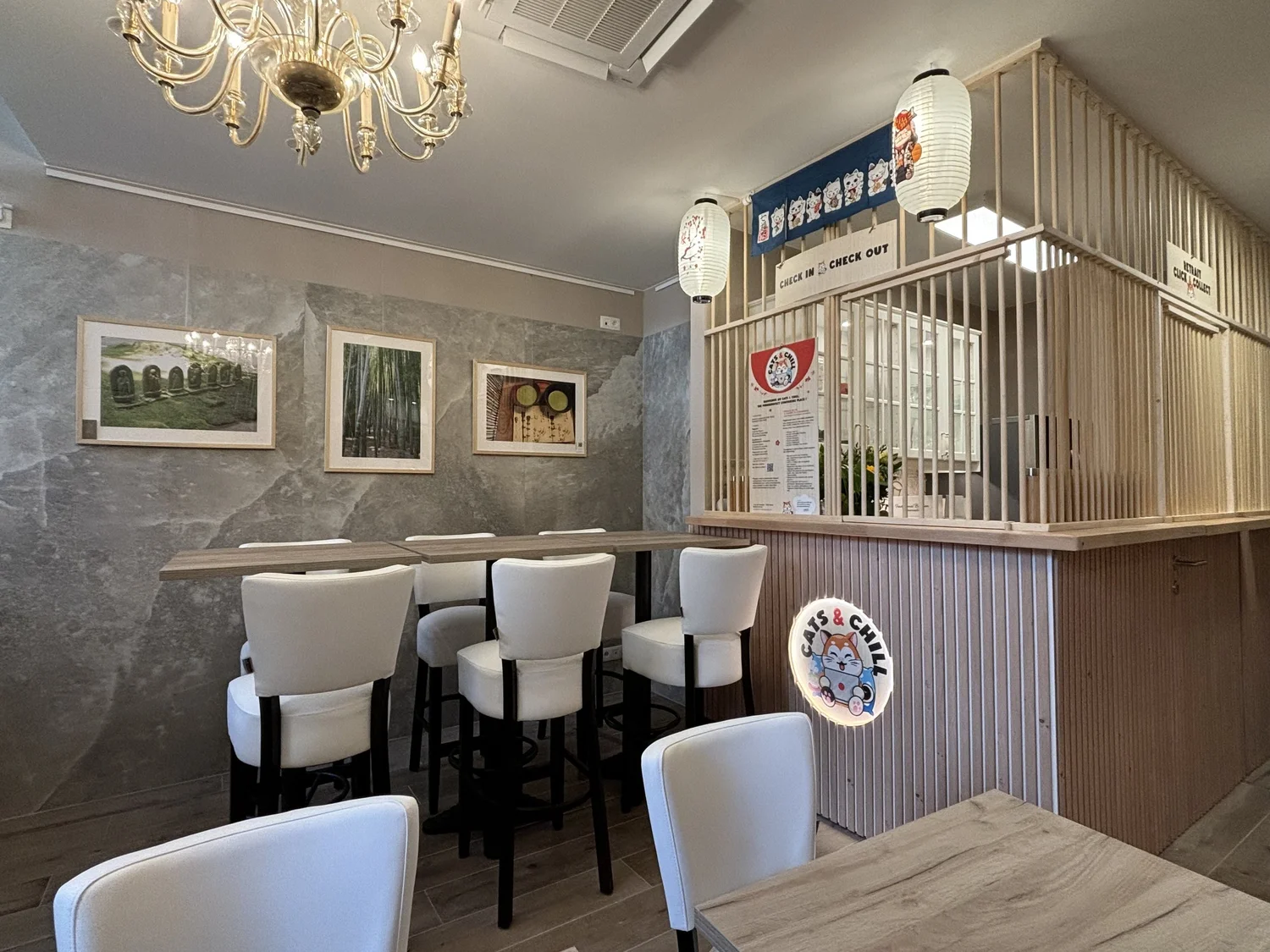 Intérieur du bar à chat Cats & Chill à Mons — chandelier, chaises blanches et cage en rice-paper